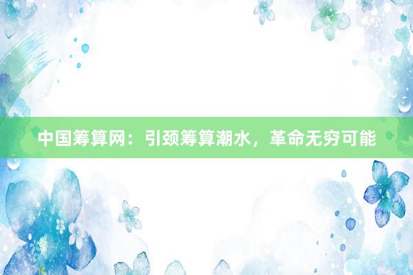中国筹算网：引颈筹算潮水，革命无穷可能