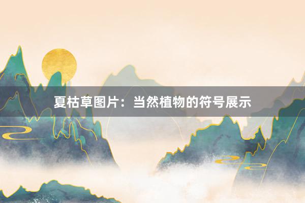 夏枯草图片：当然植物的符号展示
