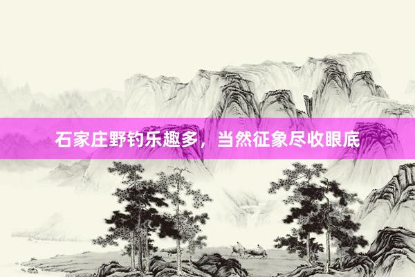 石家庄野钓乐趣多，当然征象尽收眼底